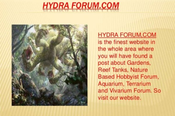 Кракен войти на сайт